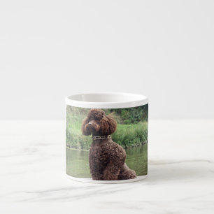 Taza De Espresso cangrejo de chocolate sentado.png