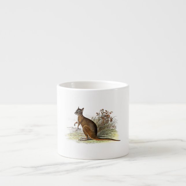 Taza De Espresso Canguro del ilustracion del Wallaby de los 1800s (Frente)