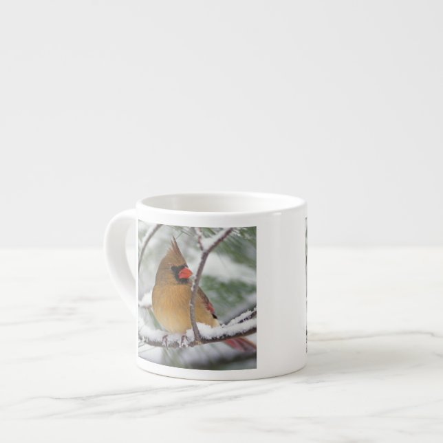 Taza De Espresso Cardenal norte hembra en pino nevado, (Izquierda)