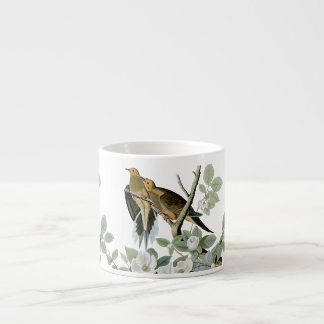 Taza De Espresso Carolina Pigeon Audubon Morning Dove (Frente)