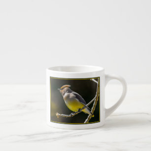 Taza De Espresso Cedar Waxwing Songbird Foto original de ave silves