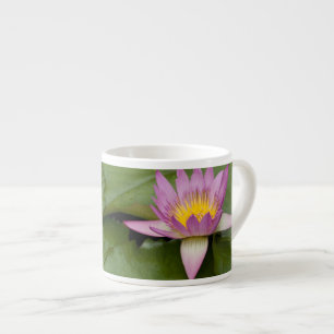 Taza De Espresso China, Hong Kong, Nuevos Territorios. Chi Lin