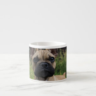 Taza De Espresso Cojín decorativo Bulldog francés