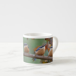 Taza De Espresso Collage del trepatroncos