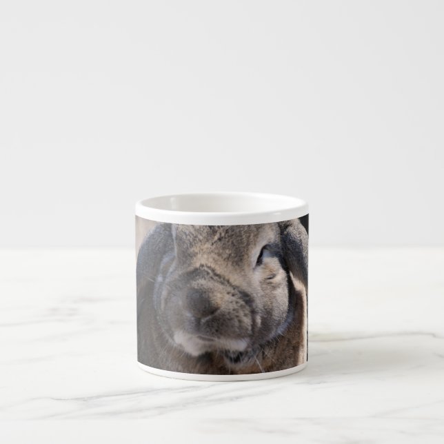 Taza De Espresso Conejo espigado del Lop (Frente)