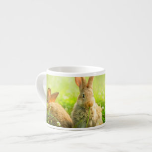 Taza De Espresso Conejos de Pascua