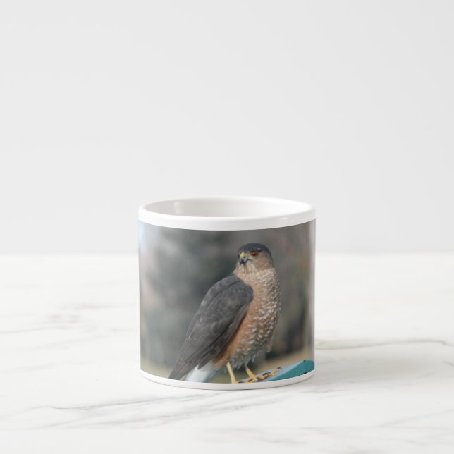 Taza De Espresso Coopers Hawk (Frente)