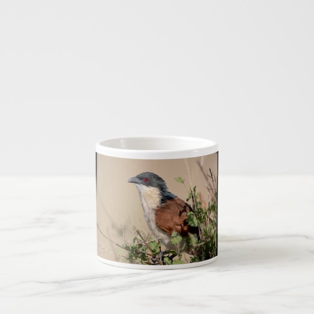 Taza De Espresso Coucal de Burchell (Frente)