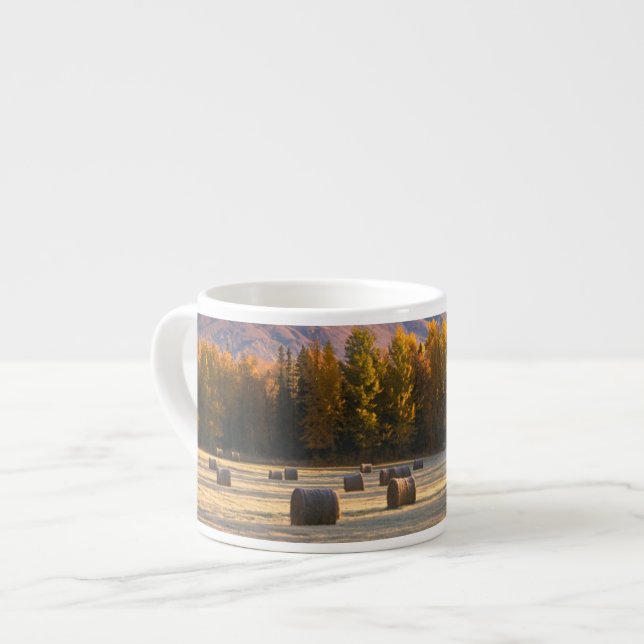 Taza De Espresso Cultivo de Alaska (Izquierda)