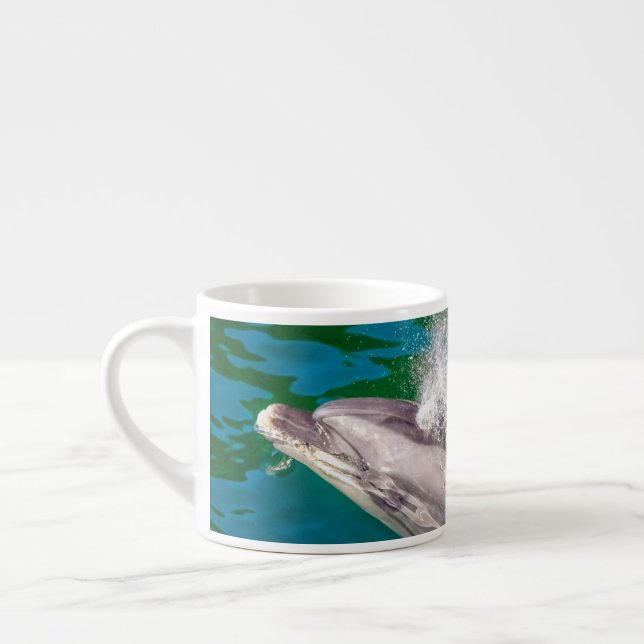 Taza De Espresso Delfín En Milford Sound, Nueva Zelanda (Izquierda)