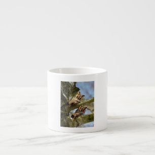 Taza De Espresso Dos búhos en el bosque, aves, vida silvestre Espre