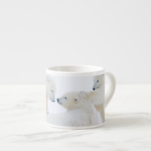 Taza De Espresso EE. UU., Alaska, llanura costera del Ártico 1002