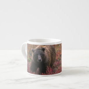 Taza De Espresso EE. UU., Alaska, Parque Nacional Denali. Oso pardo