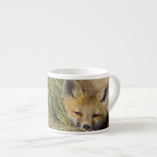 Taza De Espresso EE. UU., Colorado, Breckenridge. Zorro rojo alerta