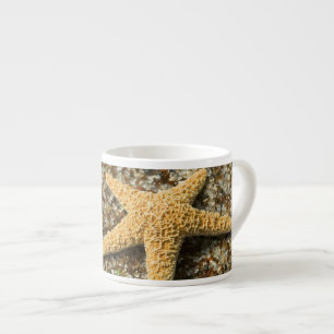 Taza De Espresso EE. UU., HI, Kauai, Glass Beach con estrella de ma