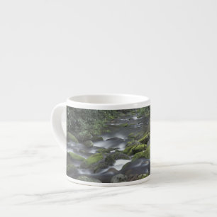 Taza De Espresso EE. UU., Tennessee, Parque Nacional Grandes Montañ