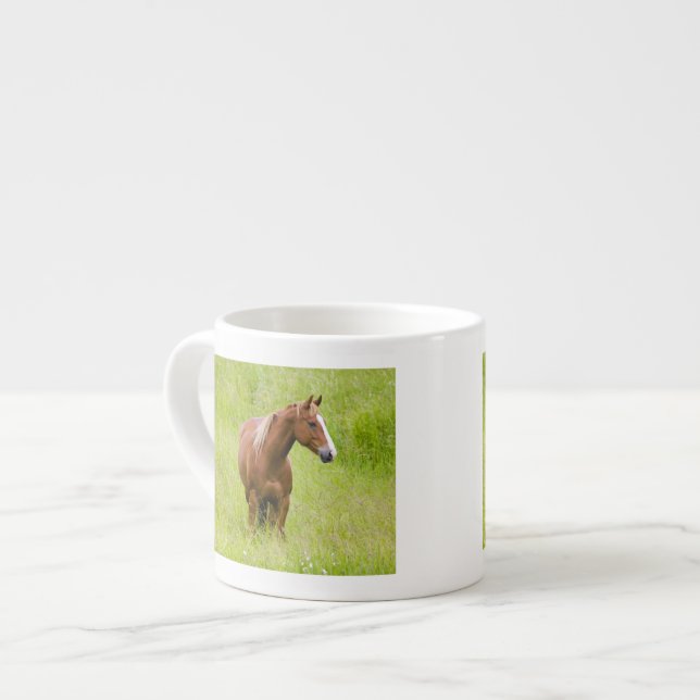 Taza De Espresso EE. UU., Washington, Caballo en campo primaveral, (Izquierda)