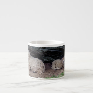 Taza De Espresso El abrigar largo del sur de la familia de las