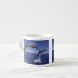 Taza De Espresso El Caribe, delfines botellas