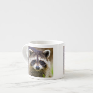 Taza De Espresso El mapache, Procyon lotor