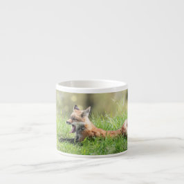 Taza De Espresso Equipo del Fox rojo