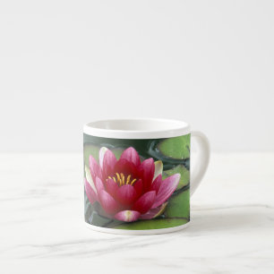 Taza De Espresso Estados Unidos, Estado de Washington, Seattle. Lec