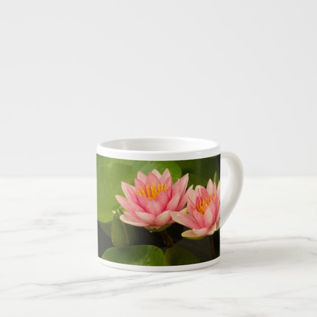 Taza De Espresso Estados Unidos, Washington, Kenilworth 4 (Derecha)