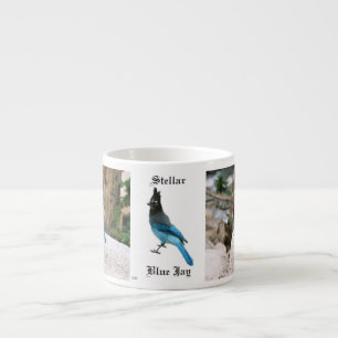 Taza De Espresso Estelar Blue Jay espresso mug