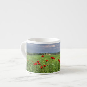 Taza De Espresso Europa, Toscana, Poggiolo. Las amapolas rojas se m