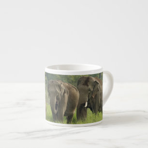 Taza De Espresso Familia de elefantes indios