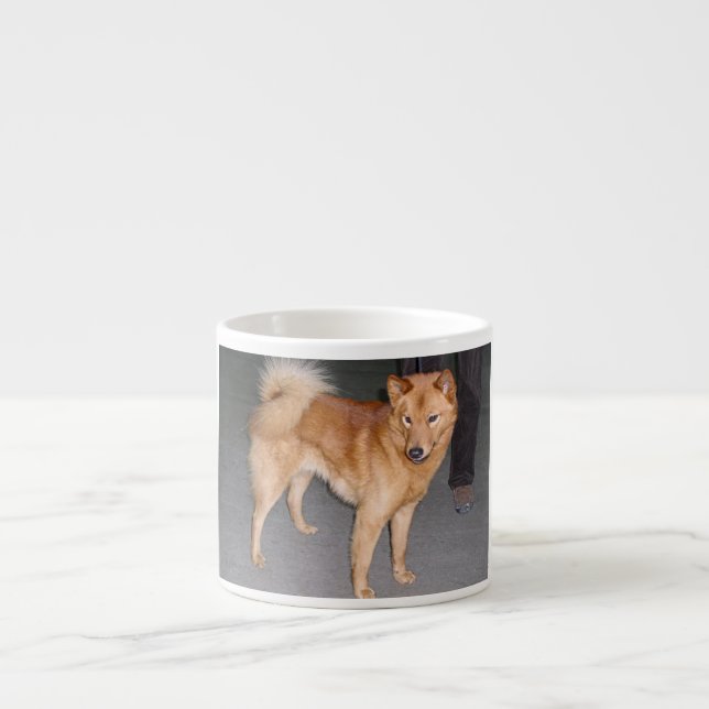 Taza De Espresso Finnish_Spitz full.jpg (Frente)