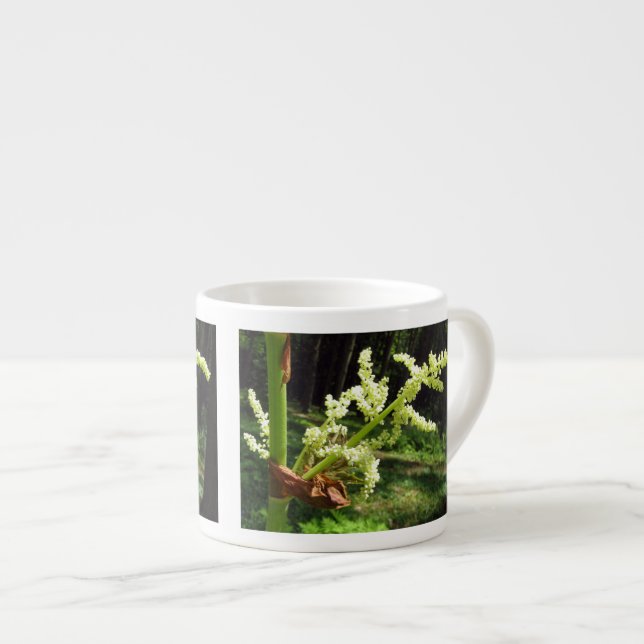 Taza De Espresso Flor: Marcha de ruibarbo en foto natural (Derecha)