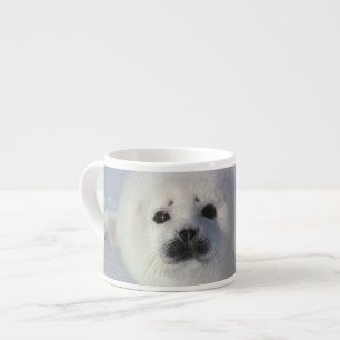 Taza De Espresso Foca de Groenlandia (Phoca groenlandica) Una cría 