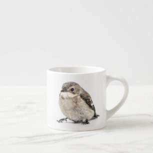 Taza De Espresso Foto de pájaro de jardín pequeño