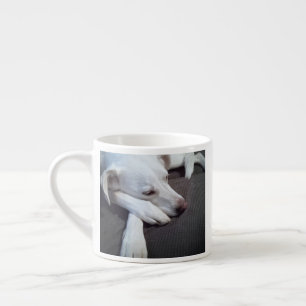 Taza De Espresso Foto de perro durmiente Recuperación rápida