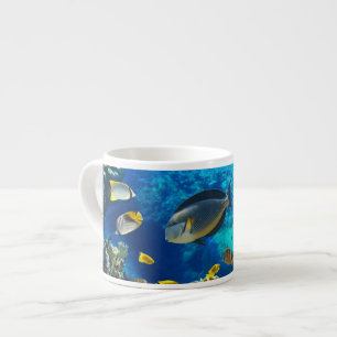 Taza De Espresso Foto de un pescado tropical en un arrecife de