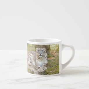taza de espresso Foto leopardo de nieve. taza de e