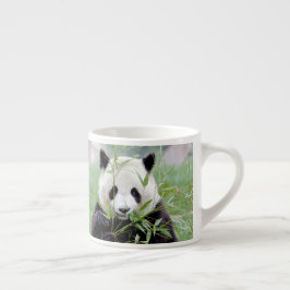 taza de espresso Foto panda gigante.