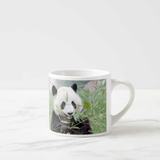 taza de espresso Foto panda gigante. (Derecha)