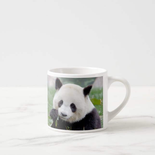 taza de espresso Foto panda gigante. (Derecha)