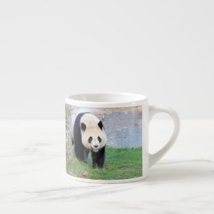 taza de espresso Foto panda gigante. taza de espre