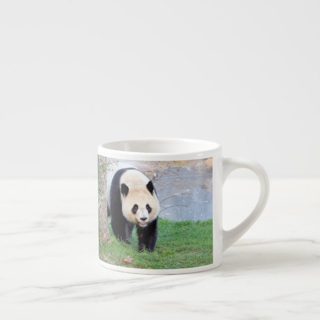 taza de espresso Foto panda gigante. taza de espre (Derecha)