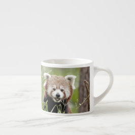 taza de espresso Foto panda roja.