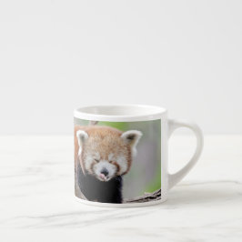 taza de espresso Foto panda roja.