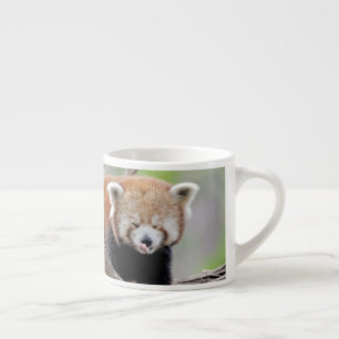 taza de espresso Foto panda roja.