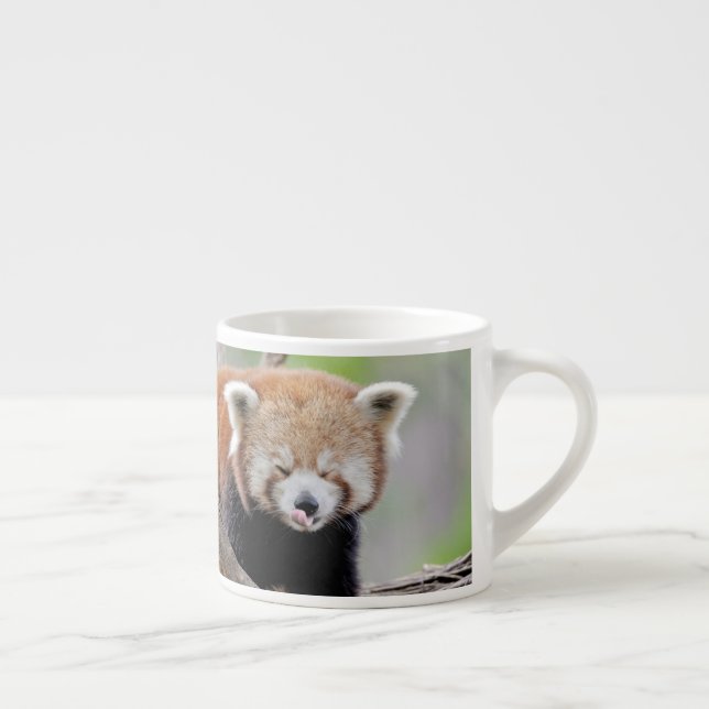 taza de espresso Foto panda roja. (Derecha)