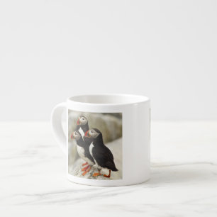 Taza De Espresso Frailecillos atlánticos en la Isla Machias Seal