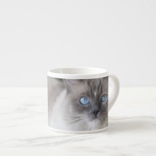 Taza De Espresso Gata Ragdoll hembra