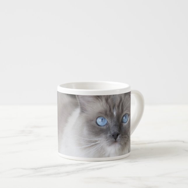 Taza De Espresso Gata Ragdoll hembra (Derecha)