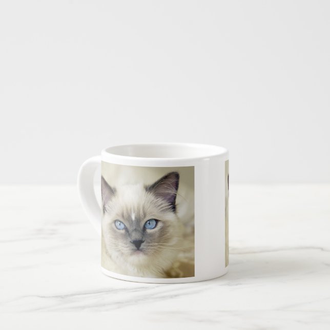 Taza De Espresso Gatito Ragdoll (Izquierda)